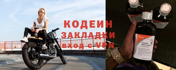 гашик Богданович