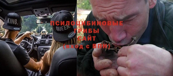 прущий лед Богородск