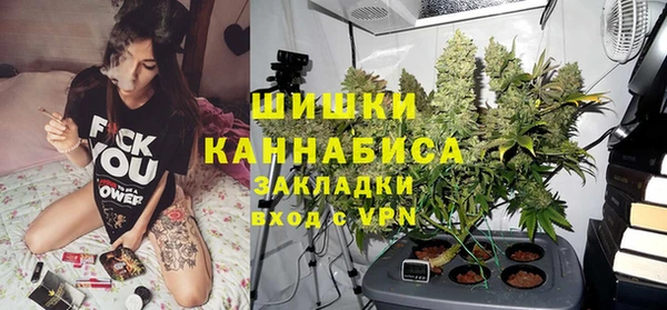 гашик Богданович