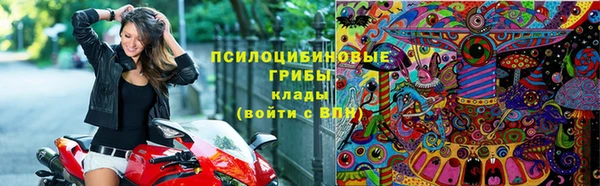 экстази Богородицк