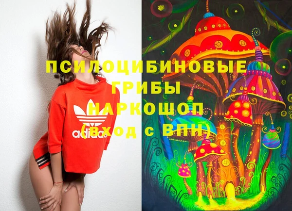 гашик Богданович