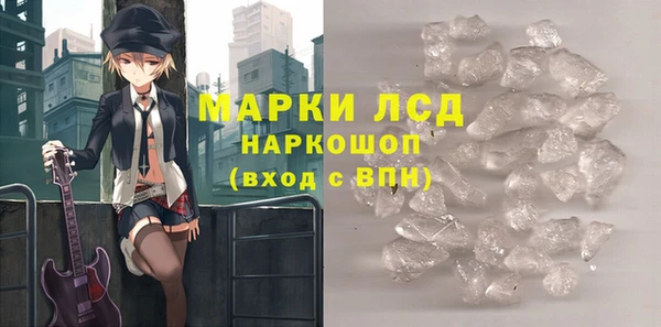 гашик Богданович